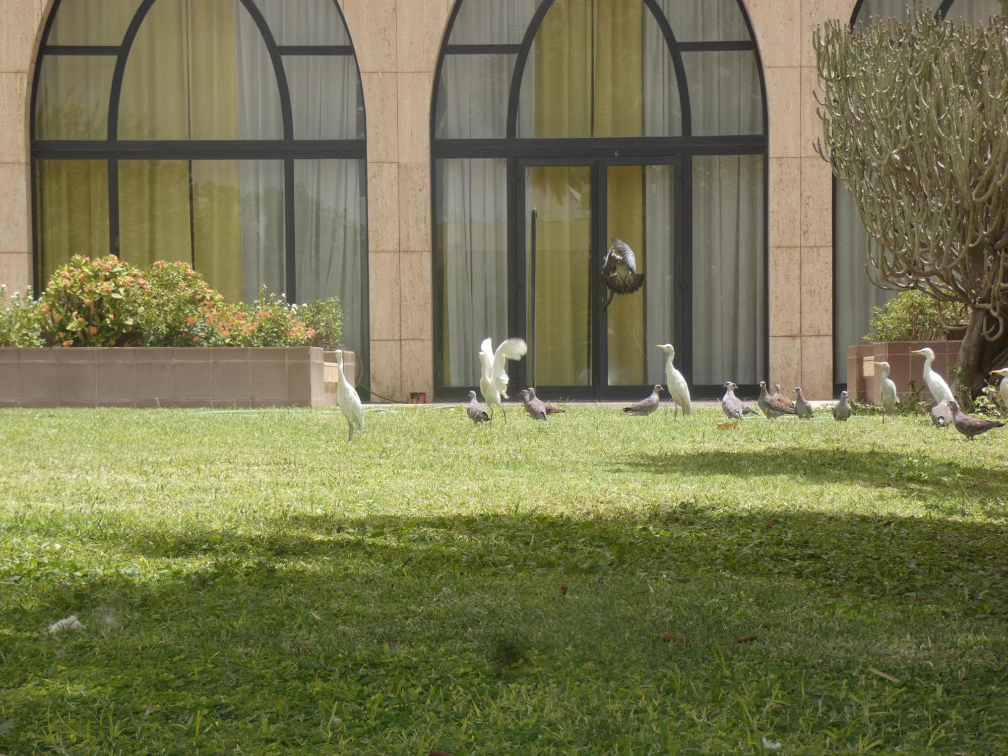L'Amitie Hotel NʼDjamena エクステリア 写真